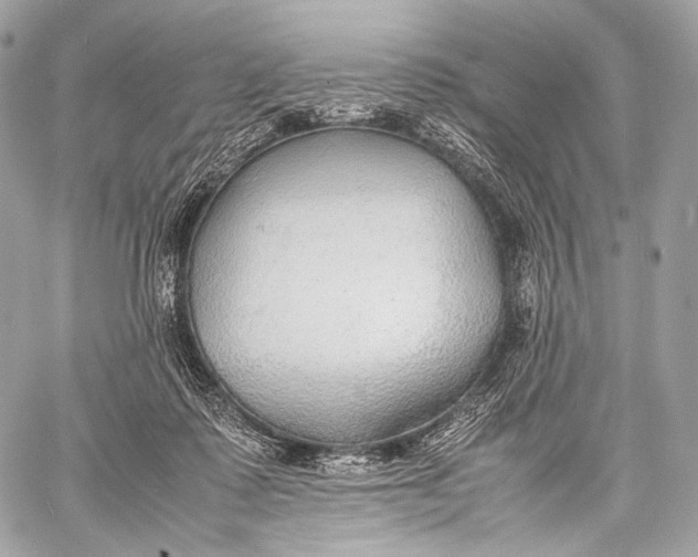 X0000059780315200511111516