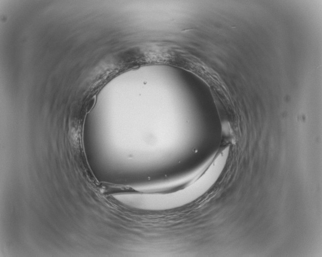 X0000059780329200511111516