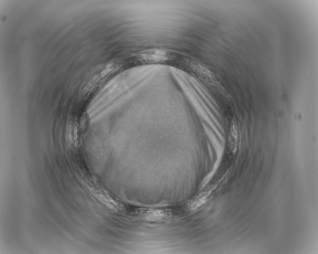 X0000059780330200511111516