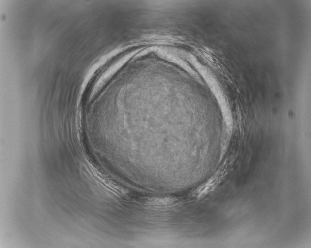 X0000059780342200511111515