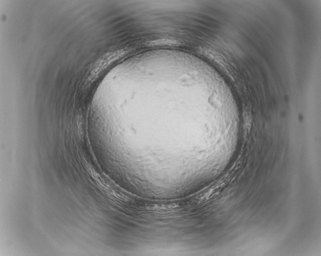 X0000059780345200511111515
