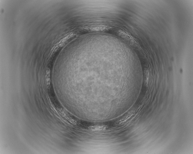 X0000059780356200511111515