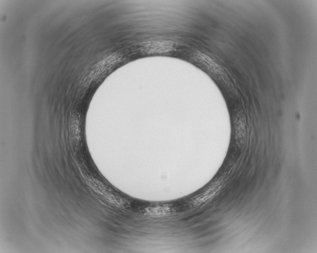X0000059780362200511111515