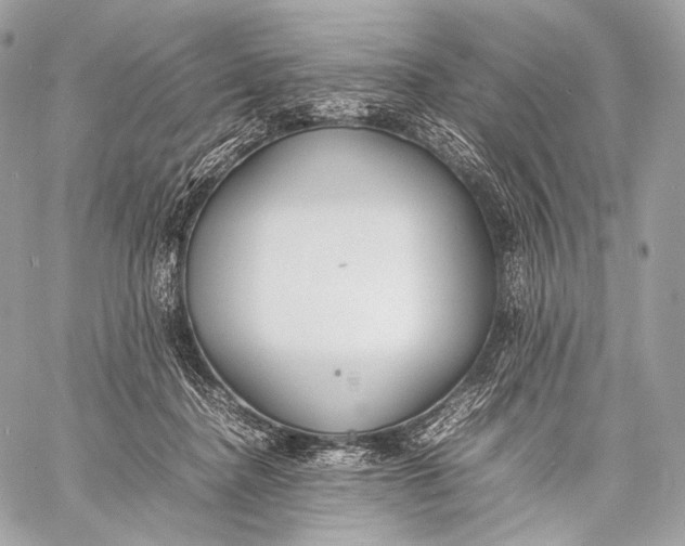 X0000059780364200511111515