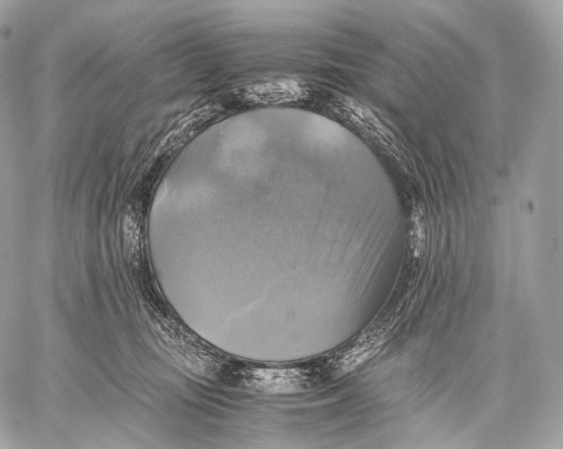 X0000059780371200511111515