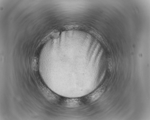 X0000059780378200511111515
