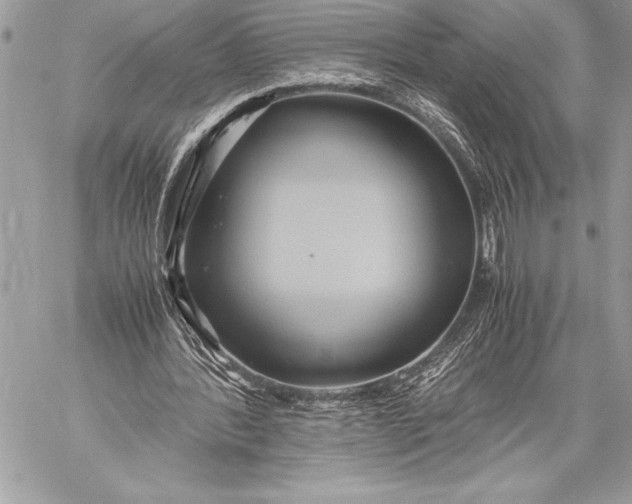 X0000059780388200511111515
