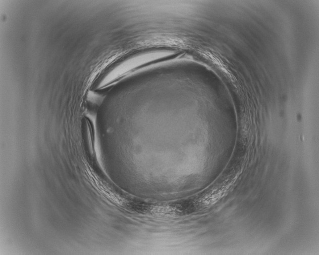 X0000059780399200511111515