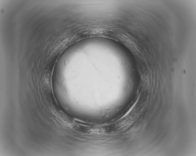 X0000059780415200511111514