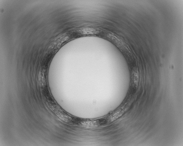 X0000059780422200511111514