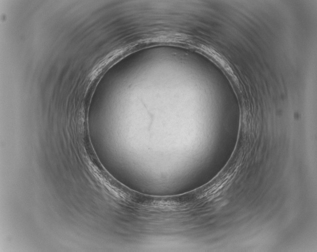 X0000059780437200511111513