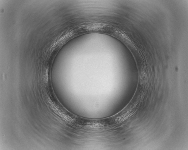 X0000059780454200511111514