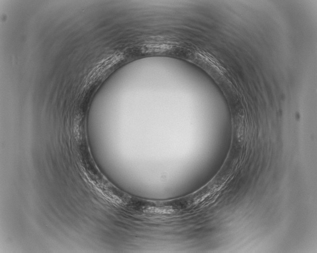X0000059780455200511111514