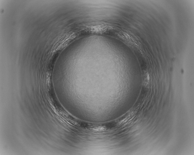 X0000059780456200511111514