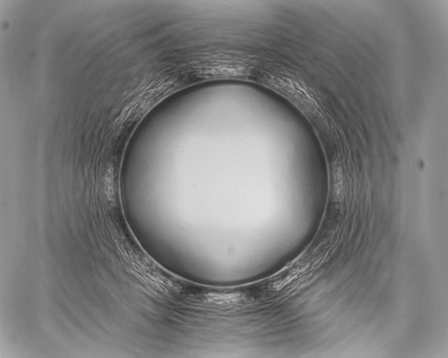 X0000059780457200511111514