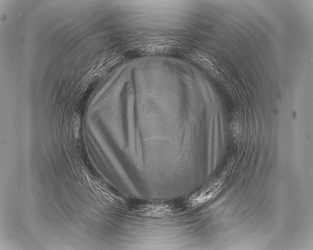 X0000059780458200511111514