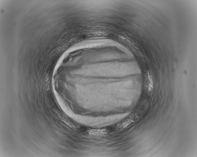 X0000059780465200511111514