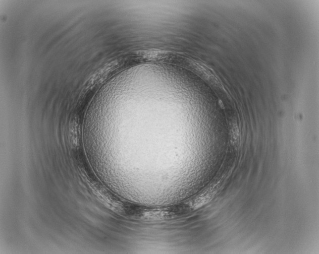 X0000059780470200511111514