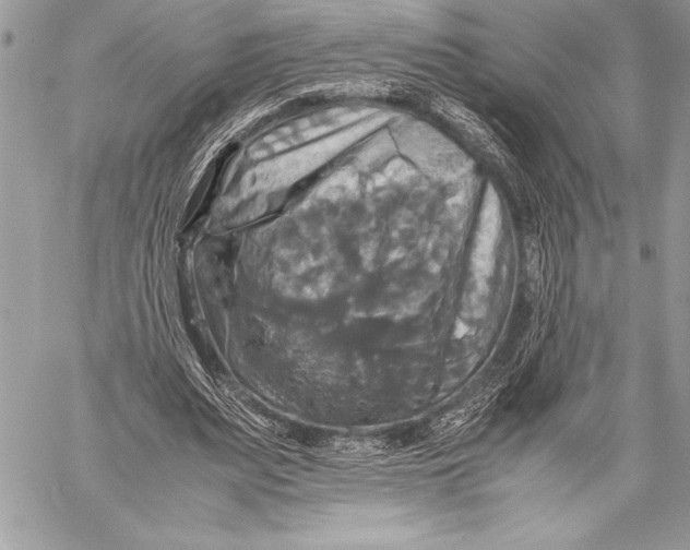 X0000059780487200511111513