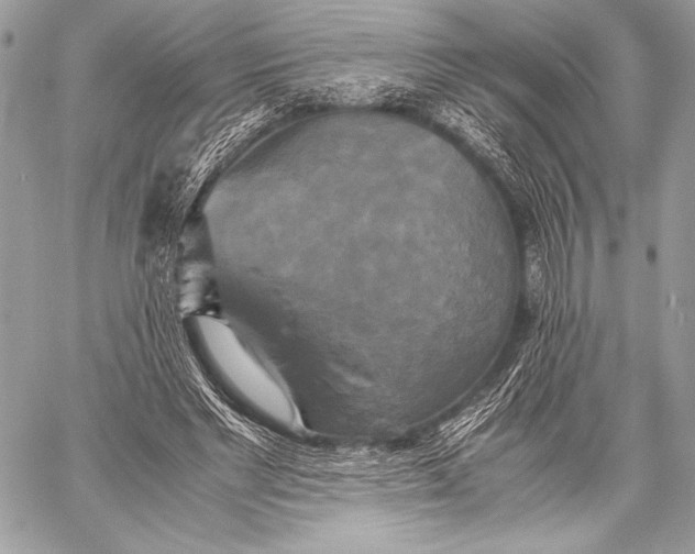 X0000059780493200511111513