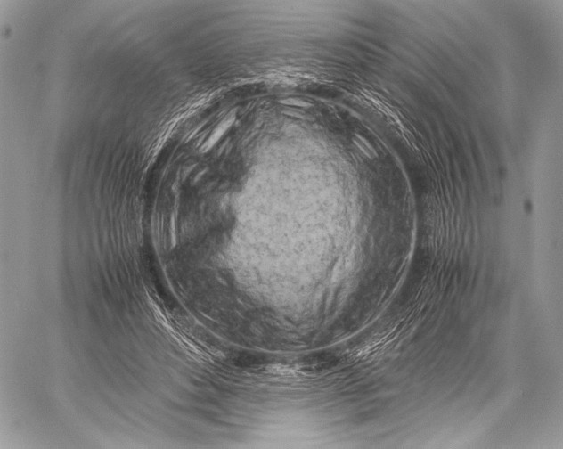 X0000059780496200511111513