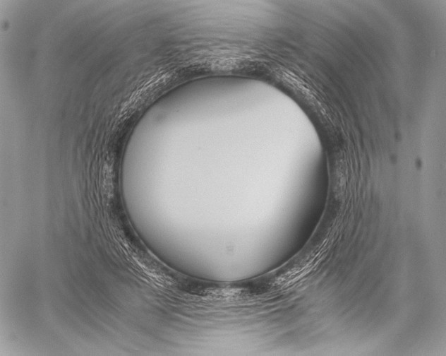 X0000059780497200511111513