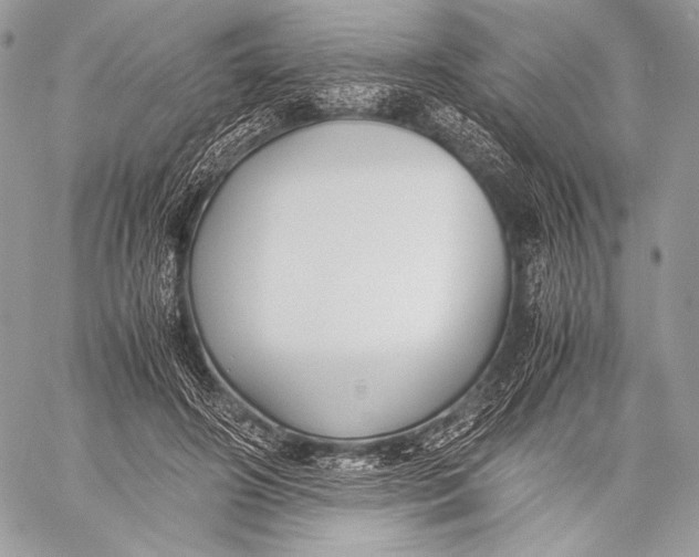 X0000059780498200511111513