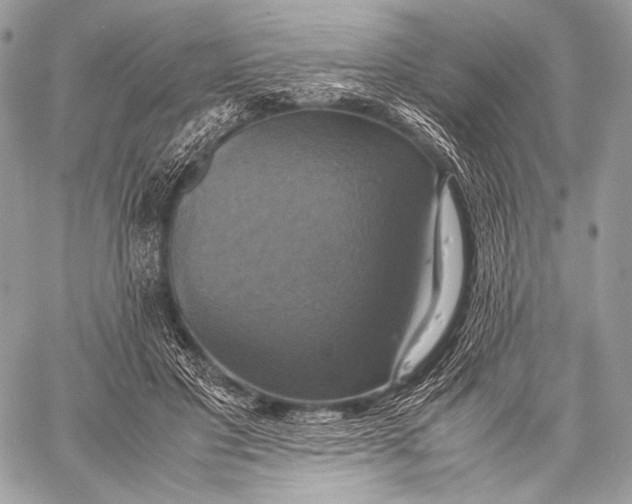 X0000059780501200511111513