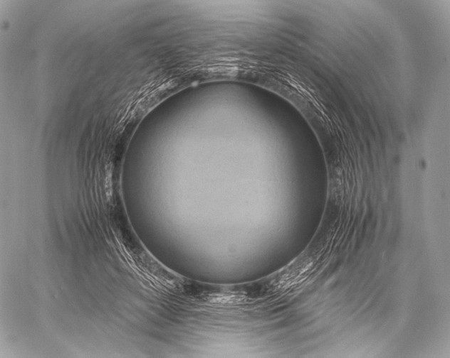 X0000059780504200511111513