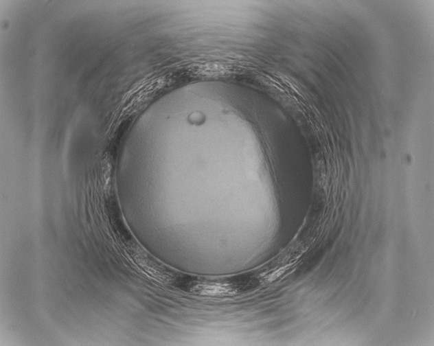 X0000059780507200511111513