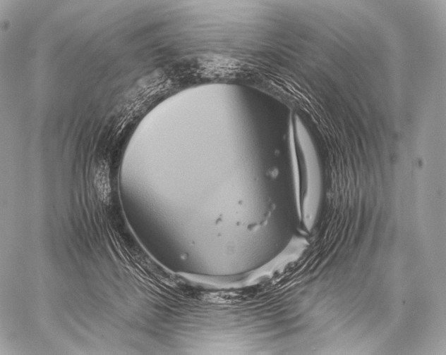 X0000059780508200511111513