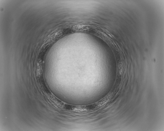 X0000059780515200511111513