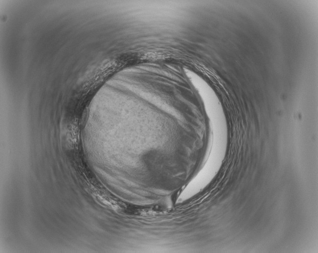 X0000059780517200511111513