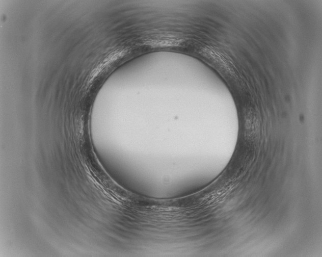 X0000059780539200511111512