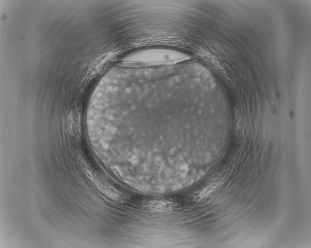 X0000059780542200511111512