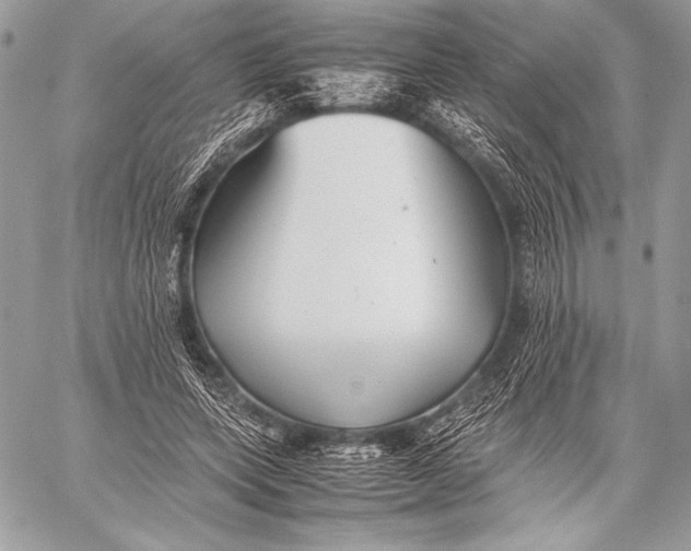 X0000059780543200511111512