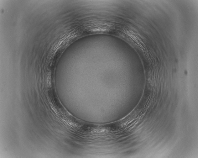 X0000059780547200511111512