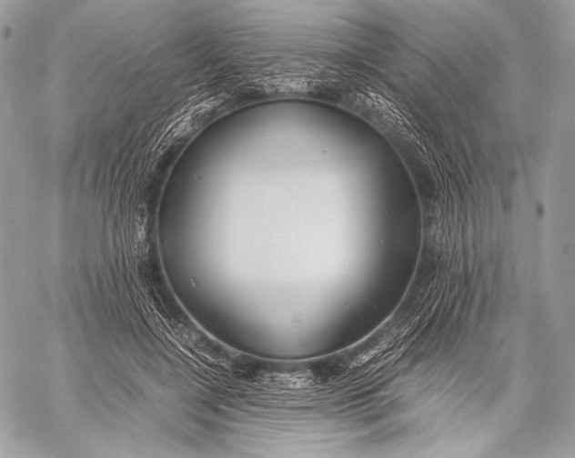 X0000059780548200511111512