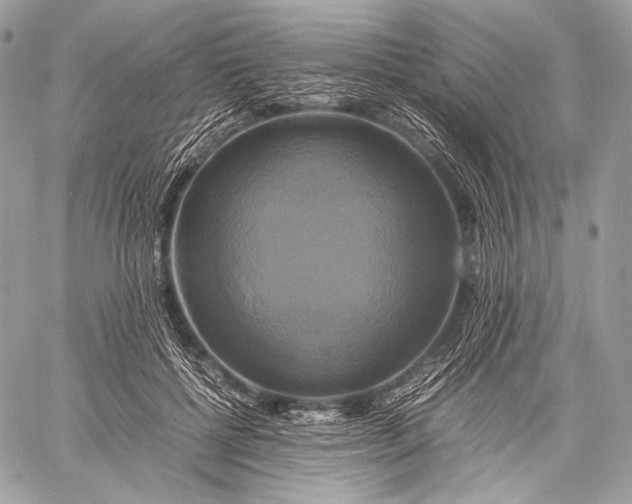 X0000059780552200511111512