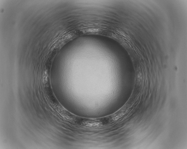 X0000059780555200511111512