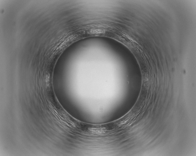 X0000059780556200511111512