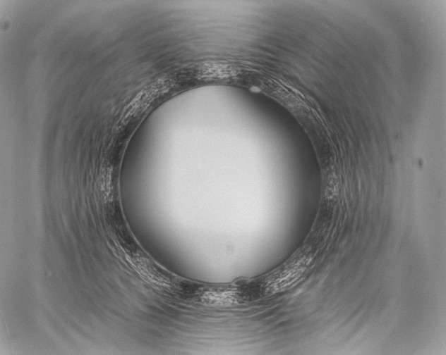 X0000059780560200511111512