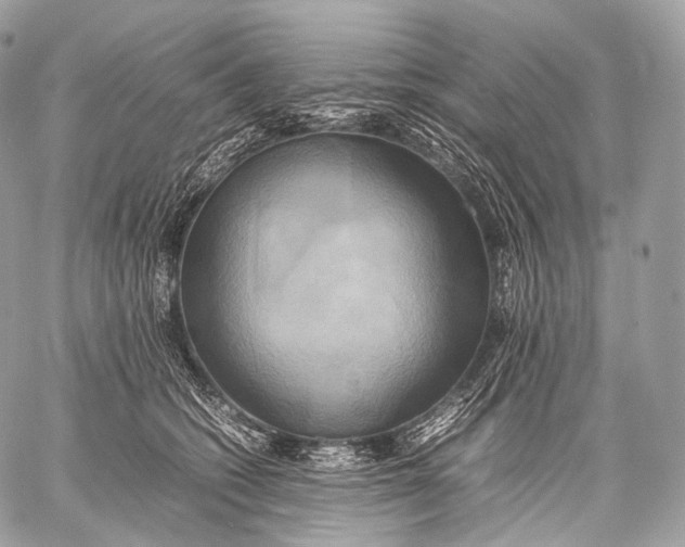 X0000059780562200511111512