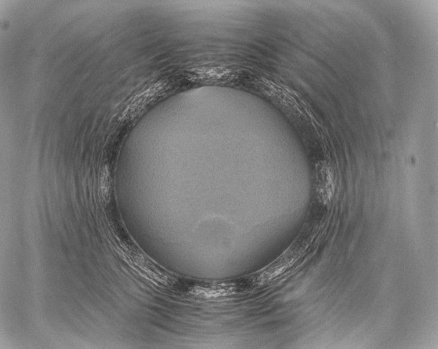 X0000059780563200511111512
