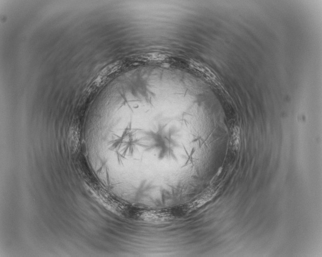 X0000059780568200511111512