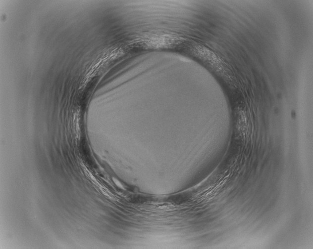 X0000059780590200511111511