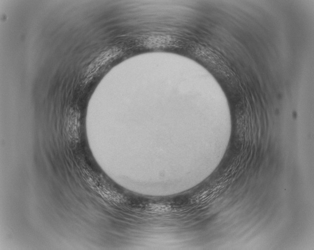 X0000059780592200511111511
