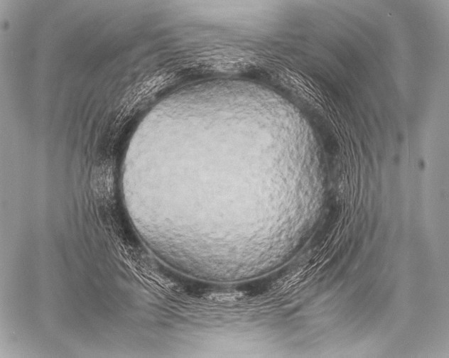 X0000059780595200511111511