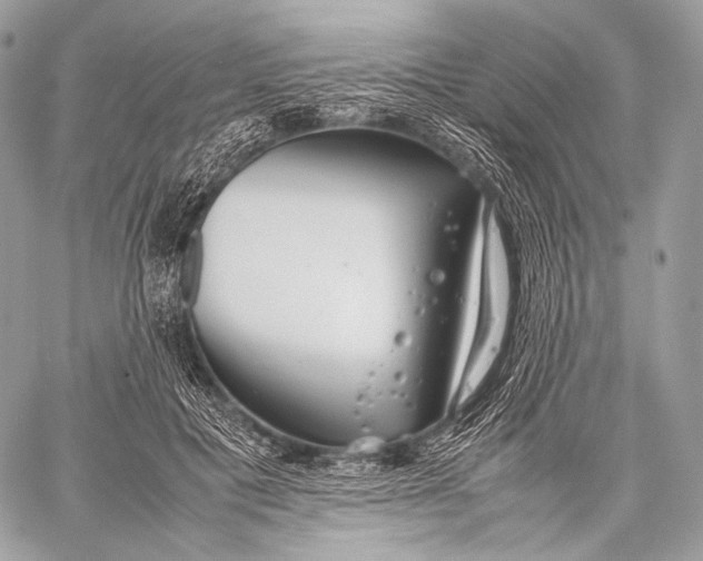 X0000059780601200511111511