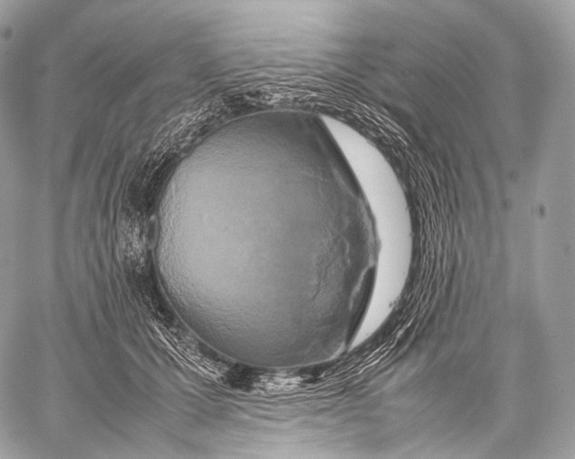 X0000059780607200511111511